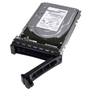 Dell - HDD - 1 TB - hot swap - 3.5" - SATA 6Gb/s - 7200 rpm - per PowerEdge T430 (3.5")