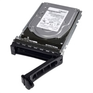 Dell - HDD - 2.4 TB - hot swap - 2.5" (in supporto da 3,5") - SAS 12Gb/s - 10000 rpm - per PowerEdge C6420 (3.5")
