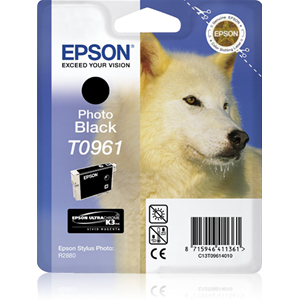 EPSON SUPPLIES Cartuccia inchiostro a pigmenti nero-foto EPSON UltraChrome K3 in confezione blister RS. Compatibile: STYLUS PHOTO R2880