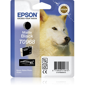 EPSON SUPPLIES Cartuccia inchiostro a pigmenti nero-matte EPSON UltraChrome K3 in confezione blister RS. Compatibile: STYLUS PHOTO R2880