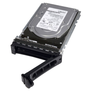 Dell - HDD - crittografato - 2.4 TB - hot swap - 2.5" - SAS 12Gb/s - 10000 rpm - FIPS - Self-Encrypting Drive (SED) - per PowerEdge C6420 (2.5")