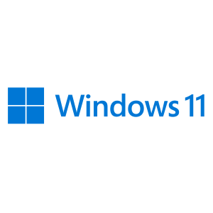 MICROSOFT SW MS WINDOWS 11 HOME 64BIT OEM DVD ITA