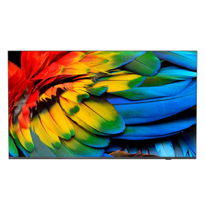 PHILIPS 50 400cd/m2 multimed 4K UHD with Chromecast