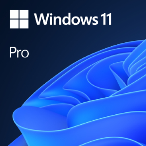 MICROSOFT WIN 11 PRO 64BIT ENG 1PK DSP OEI DVD