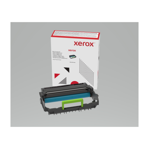 Xerox - Originale - cartuccia a tamburo - per Xerox B305, B310, B315, C315