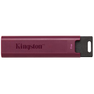 Kingston DataTraveler Max - Chiavetta USB - 1 TB - USB 3.2 Gen 2