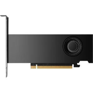 HP NVIDIA RTX 2000 Ada - Scheda grafica - NVIDIA RTX 2000 Ada - 16 GB GDDR6 - 4 x Mini DisplayPort
