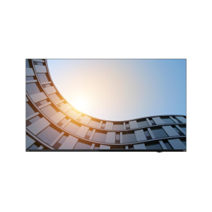 LENOVO THINVISION E65 VA/UHD/HDMI,DP,USB-C (96W)/ SPEAKER