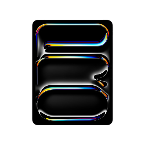 APPLE 13-INCH IPAD PRO WI-FI + CELLULAR 2TB WITH STANDARD GLASS SPACE BLACK